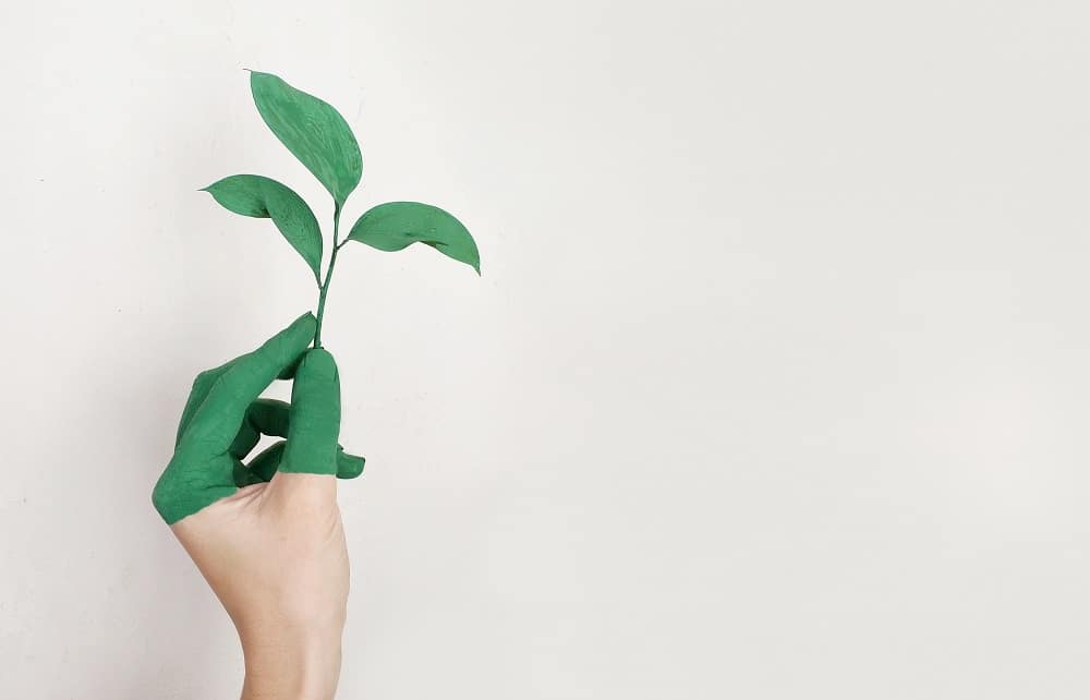 Grüne Hand, die Pflanze hält - Organisationsentwicklung